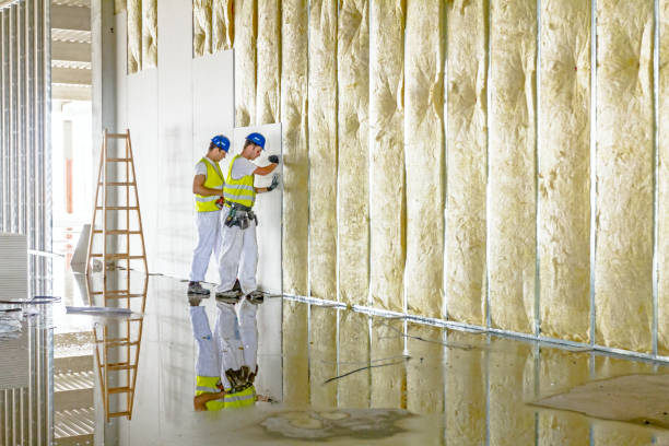 Best Professional Insulation Contractor  in USA